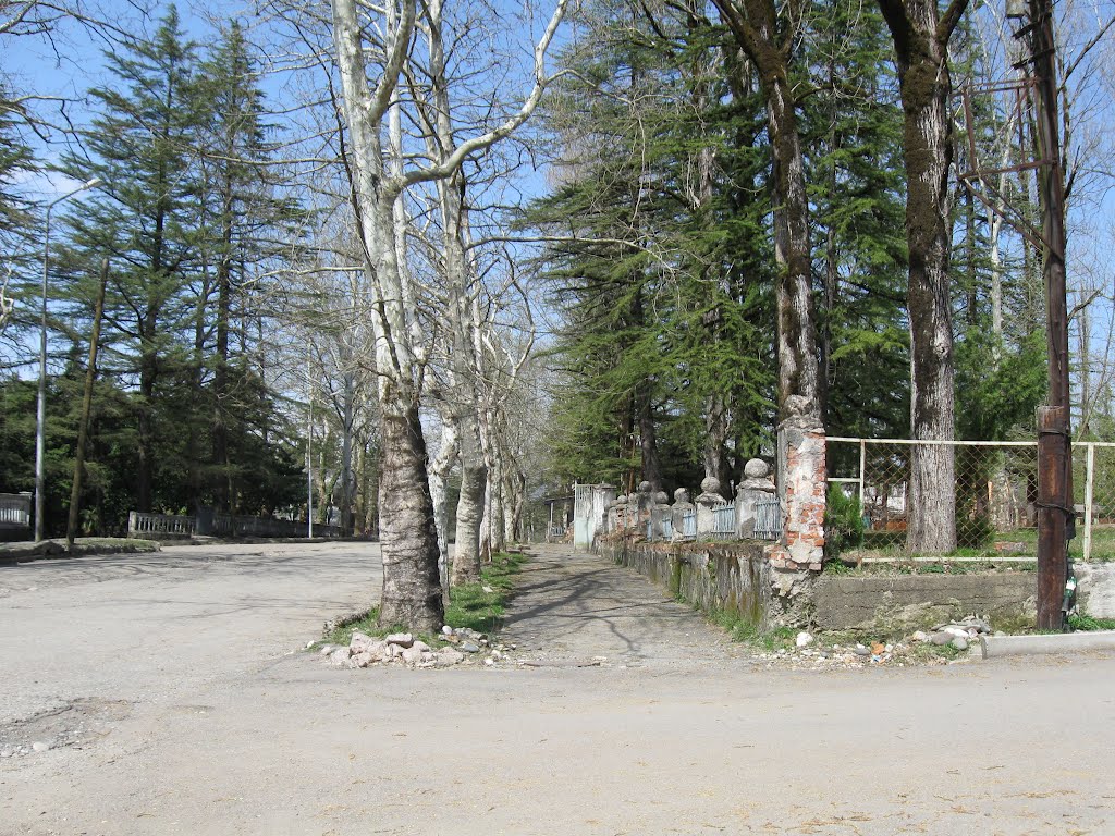 Deda ena st.