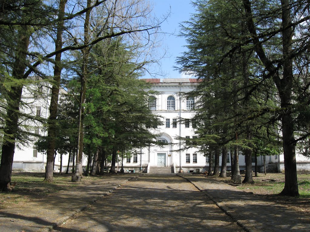 School N4