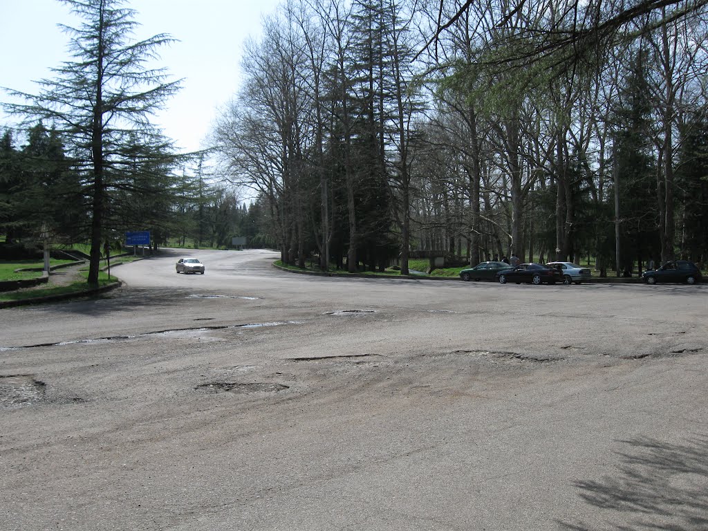 The road