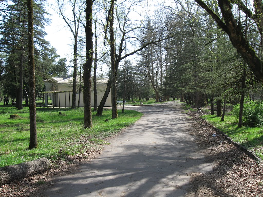 The alley