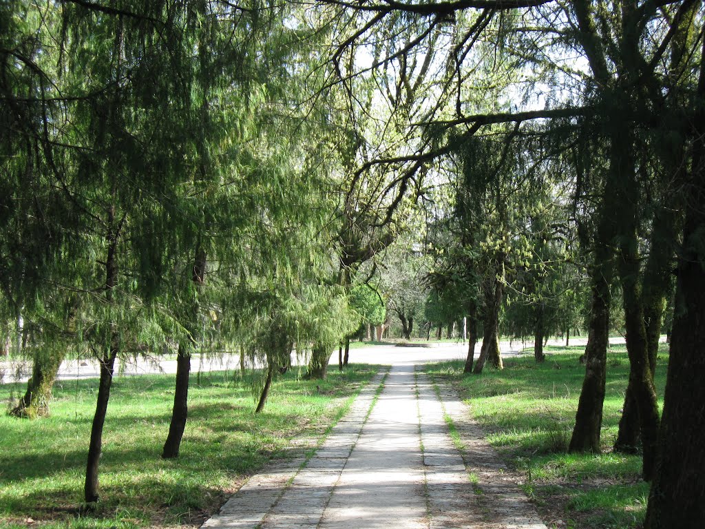 The alley