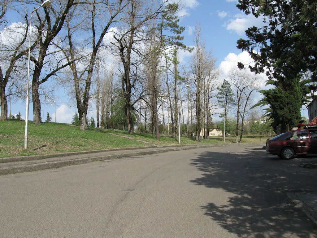 The street