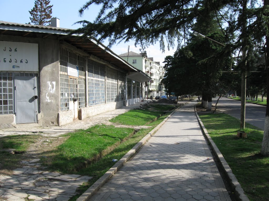 The pavement