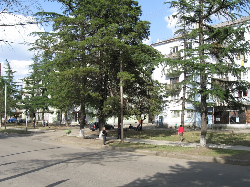The street