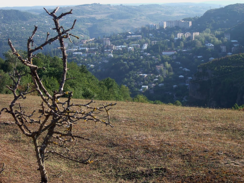 zedargani (xedi lejubanze)