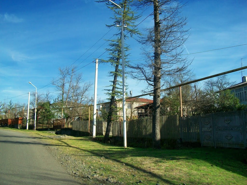 Suburbs of Chokhatauri
