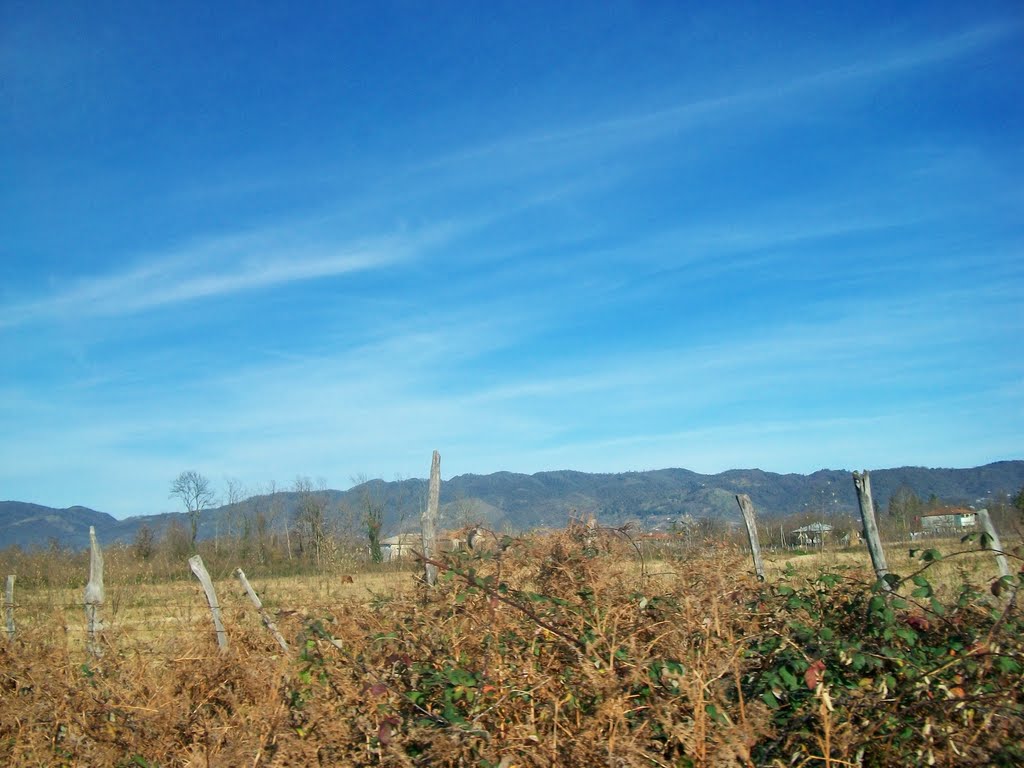Village Guturi,Guria