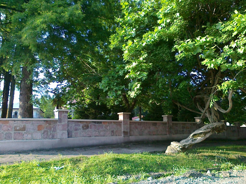 choxatauri