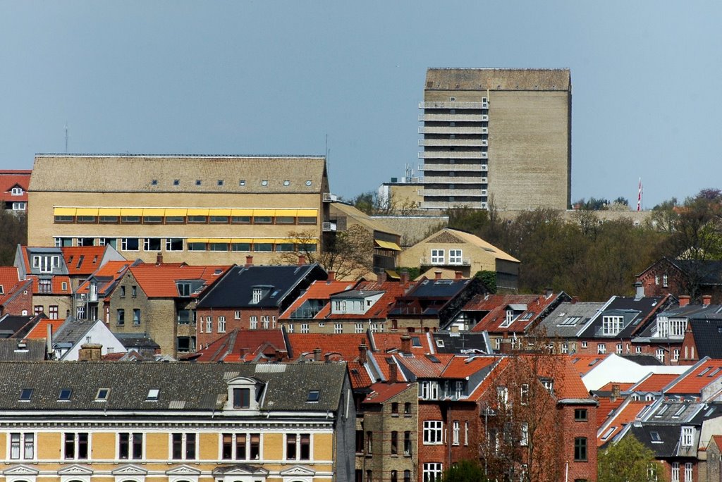 Universitetet.