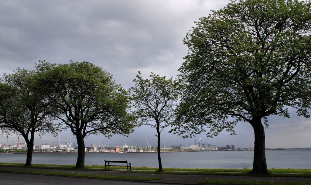 Tangkrogen med udsigt over Marselisborg Havn