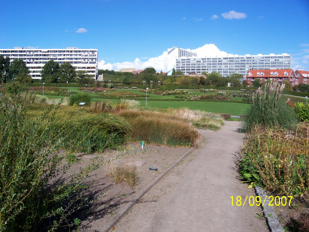 Århus Botanisk Have