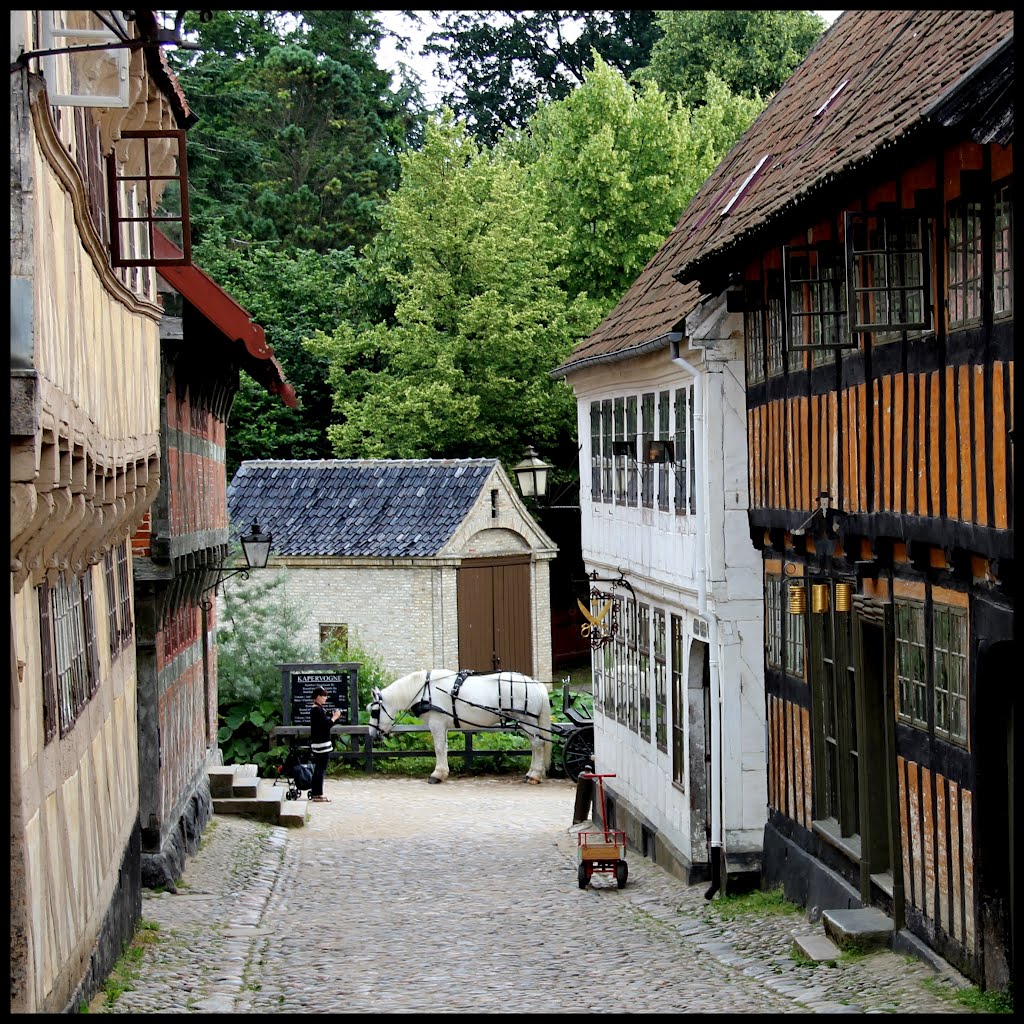Den Gamle By - The Old Town, Aarhus