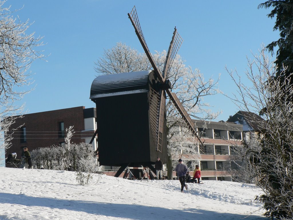 Møllen i Den Gamle By, Århus