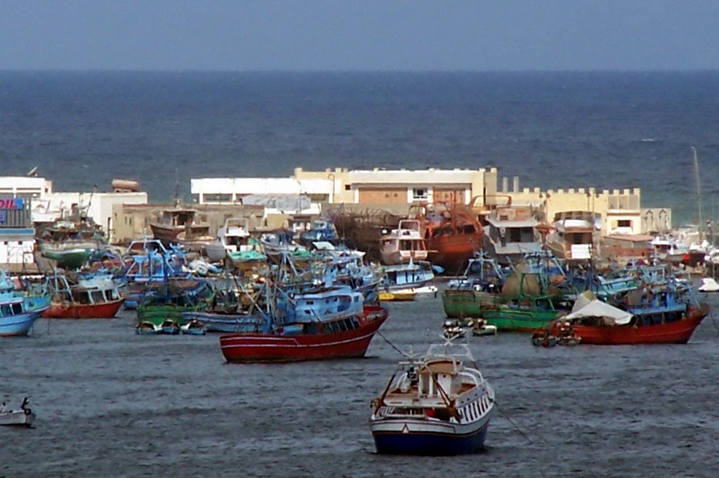 East port - Alexandria