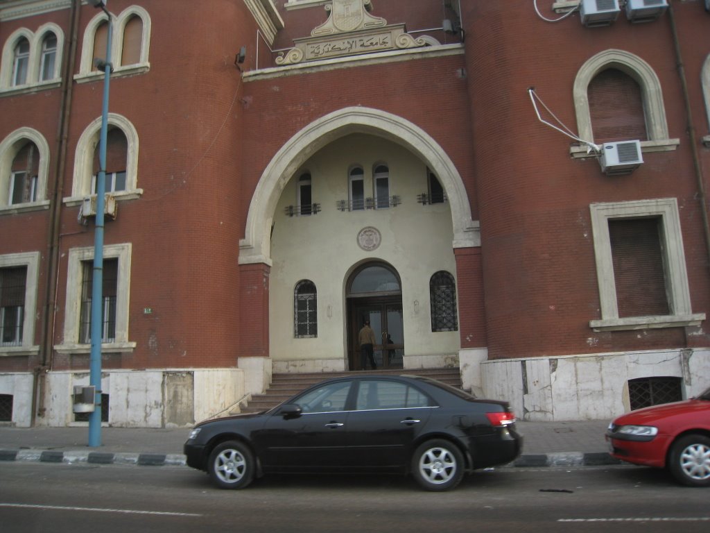 Alexandria University