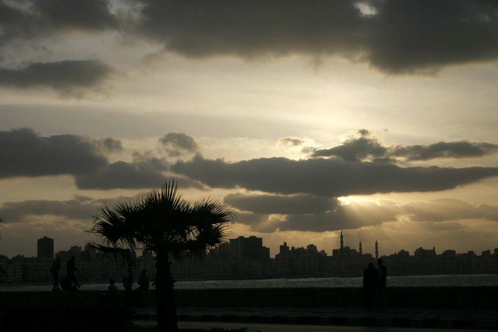 Alexandria - Sunset on the bay