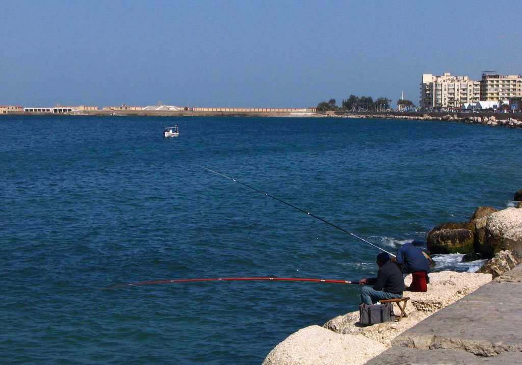 Eastern Harbour viewed from 26 July Street