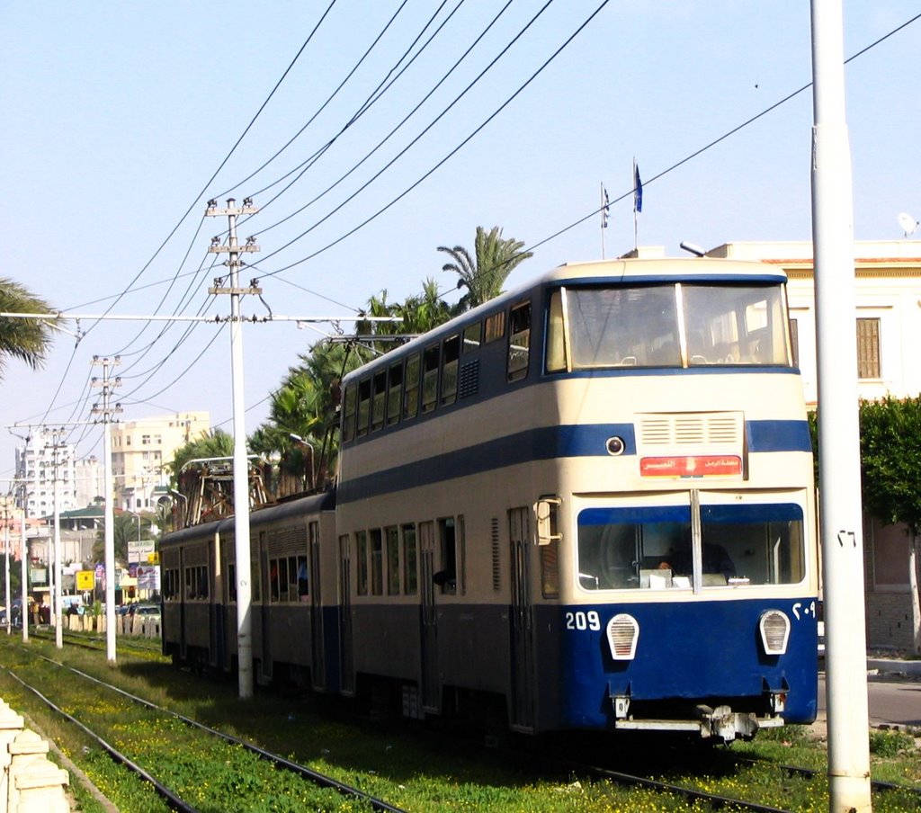 Alexandria tram
