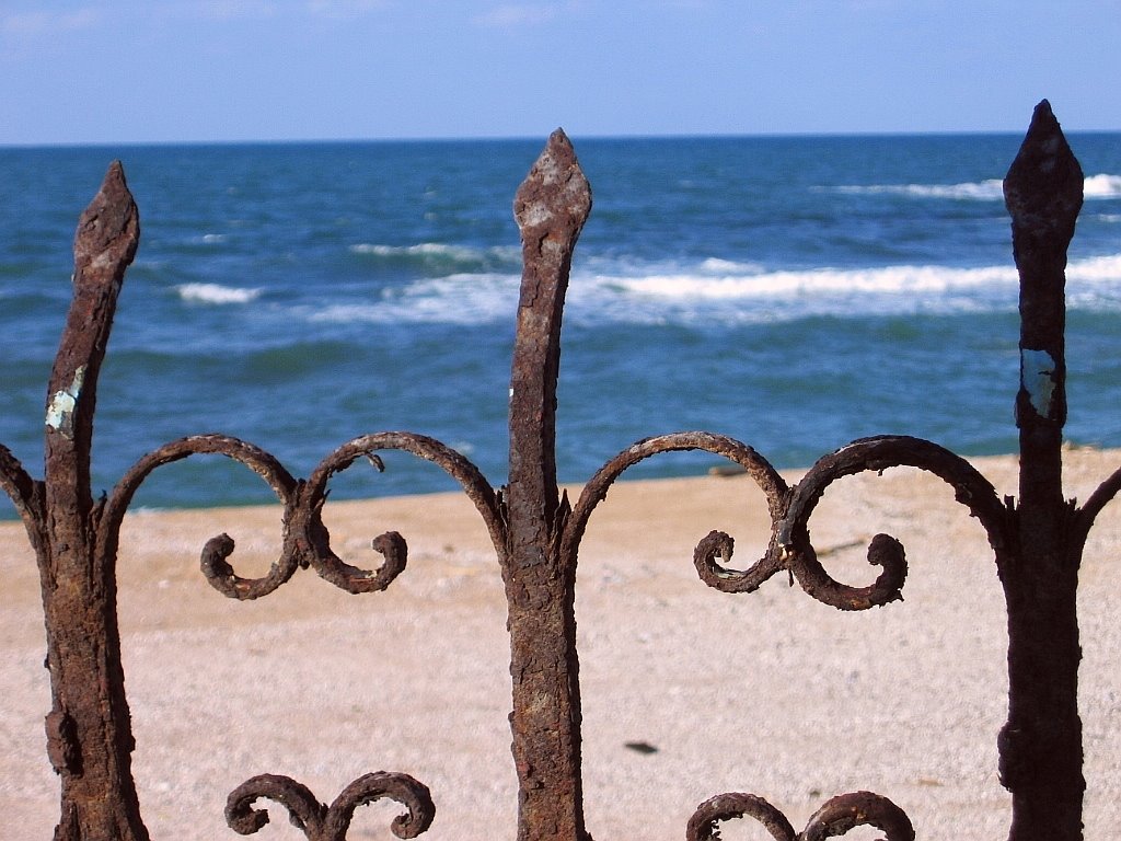Alexandria