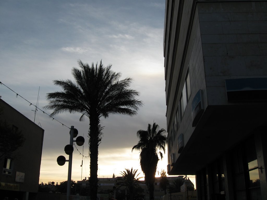 Arad (center)
