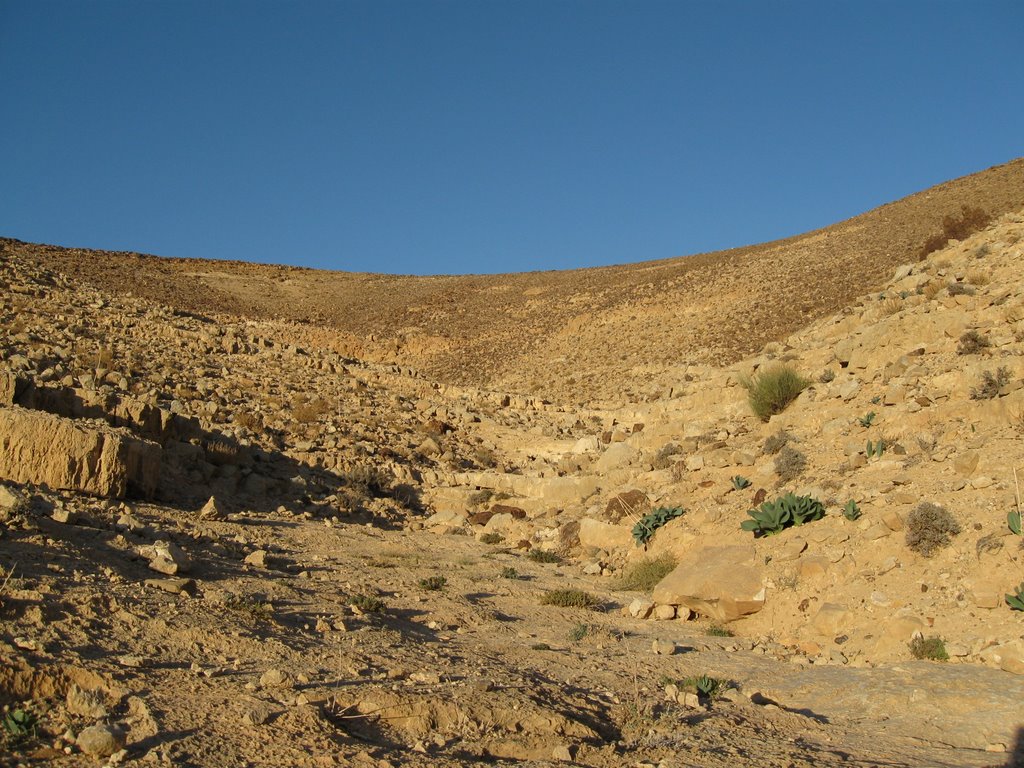 Aard (mountains near moav)