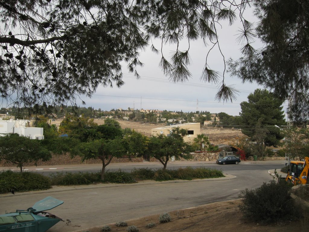 Arad ( Near Raanan St.)