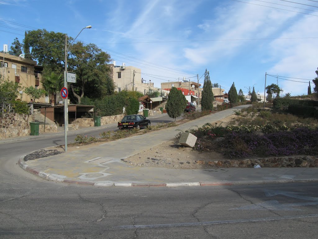 Aard (Carmel St.)