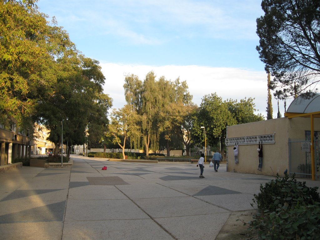 Arad (Avishoor)