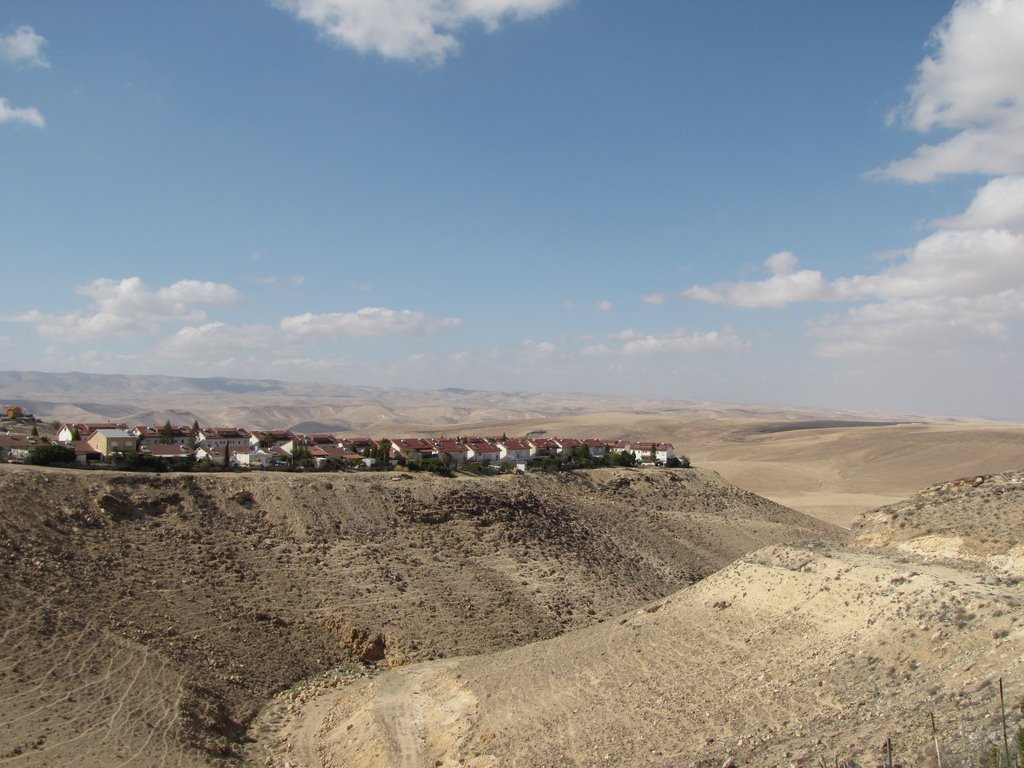 Arad
