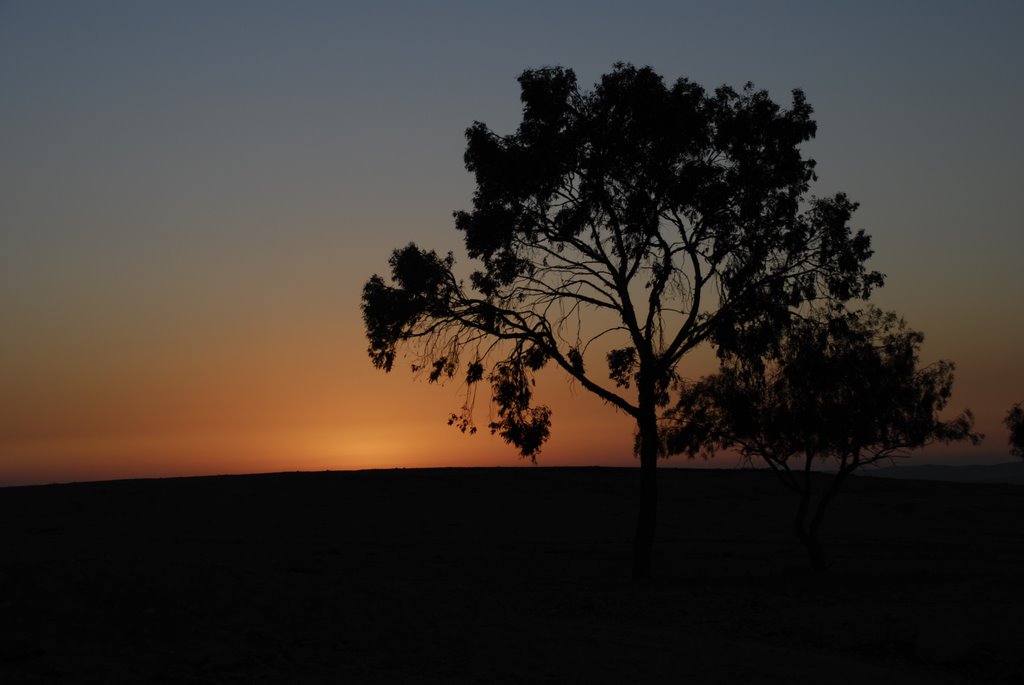 Desert Sunset , Arad