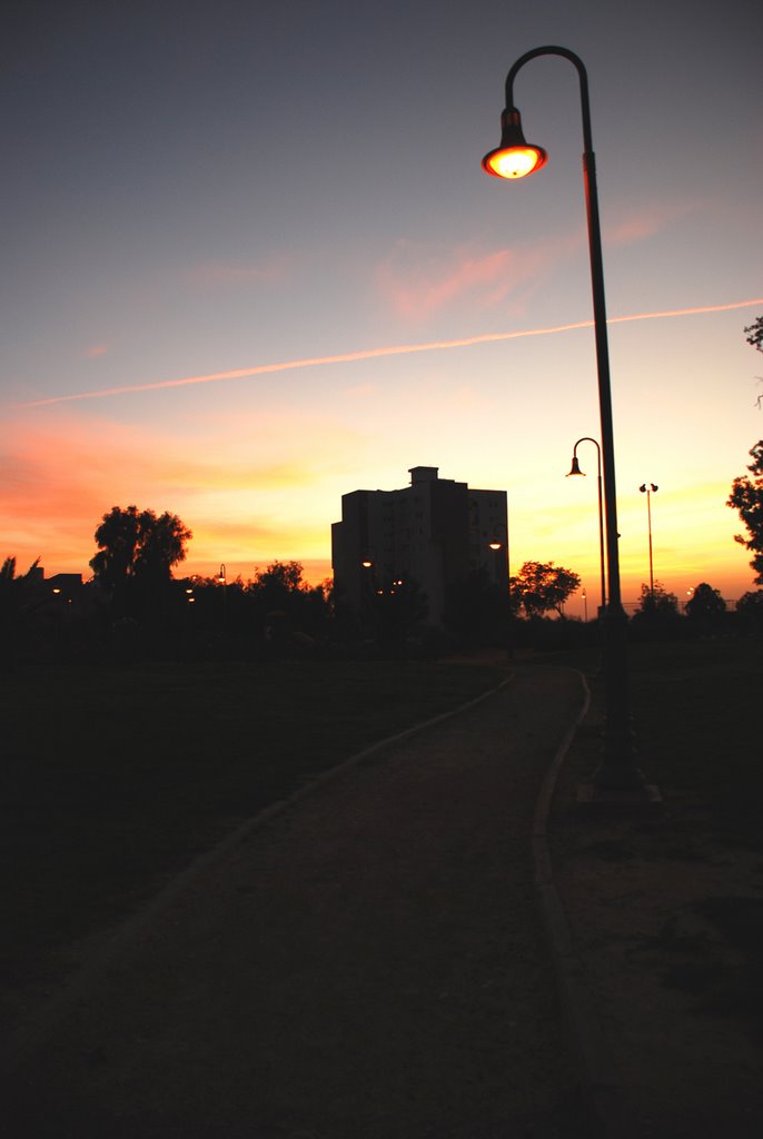 Road To The City