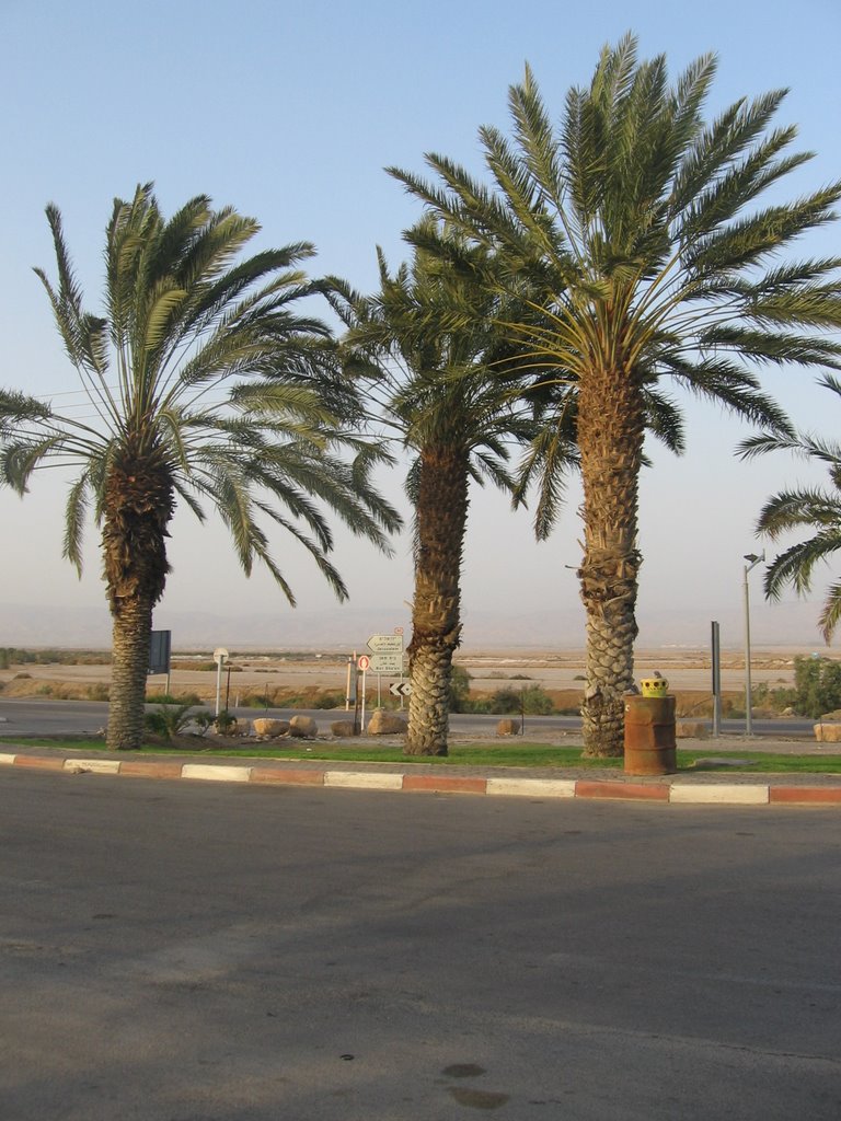 south israel