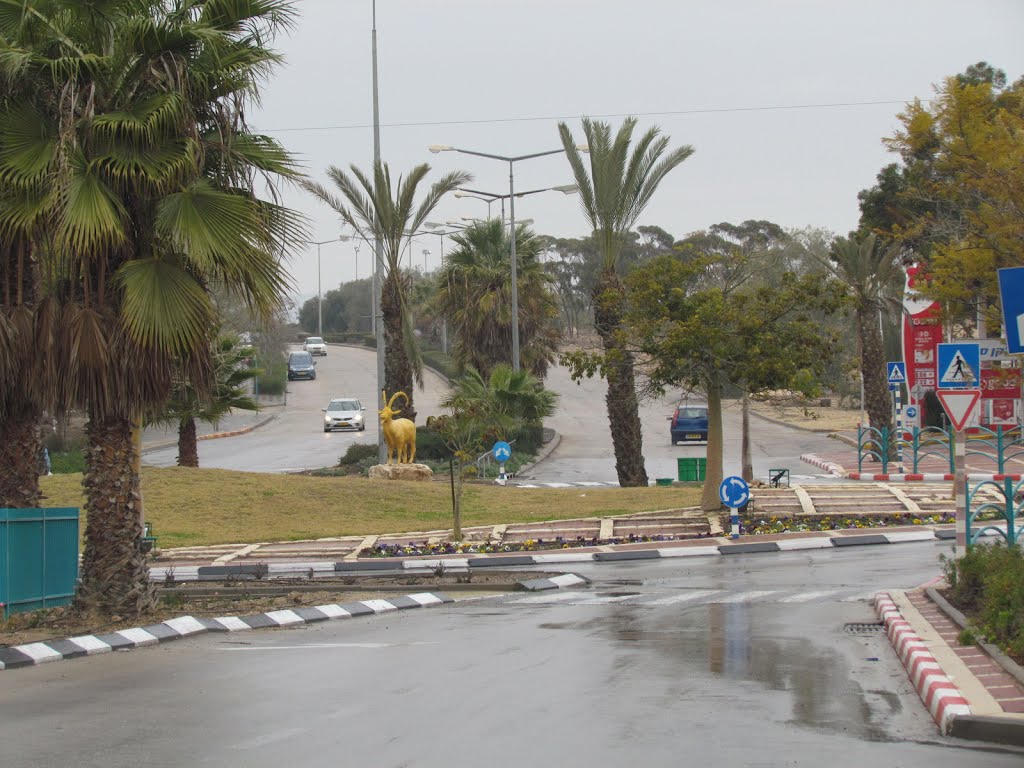 Arad, squares, Israel