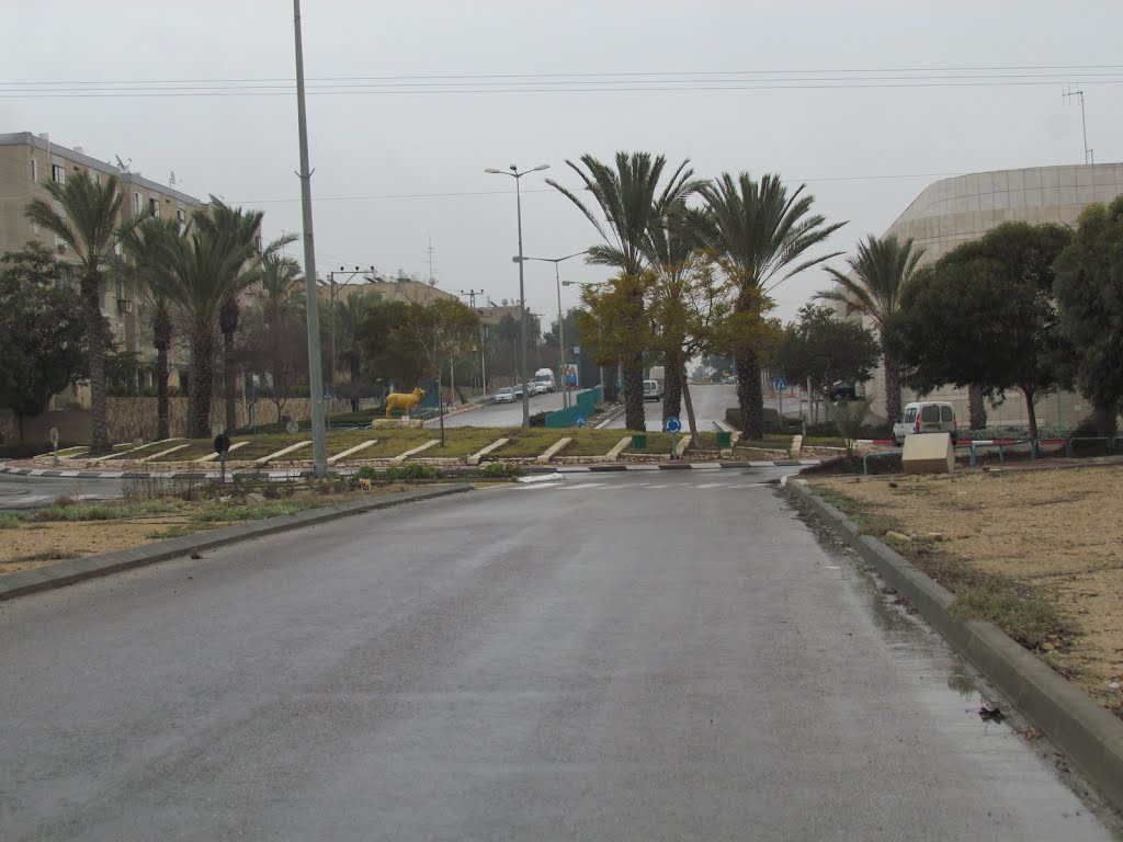 Arad, squares, Israel