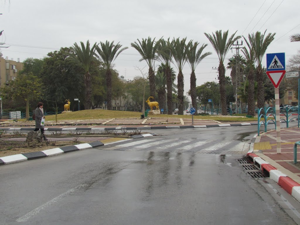 Arad, squares, Israel
