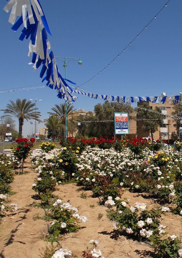 Arad. April 15. Eve of the Independence Day of Israel ...