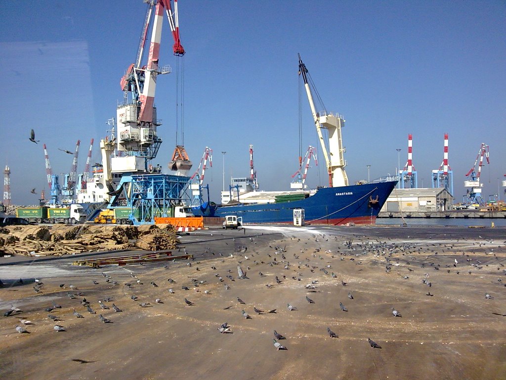 Ashdod port 2008