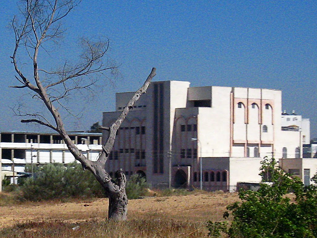 Ashdods factories