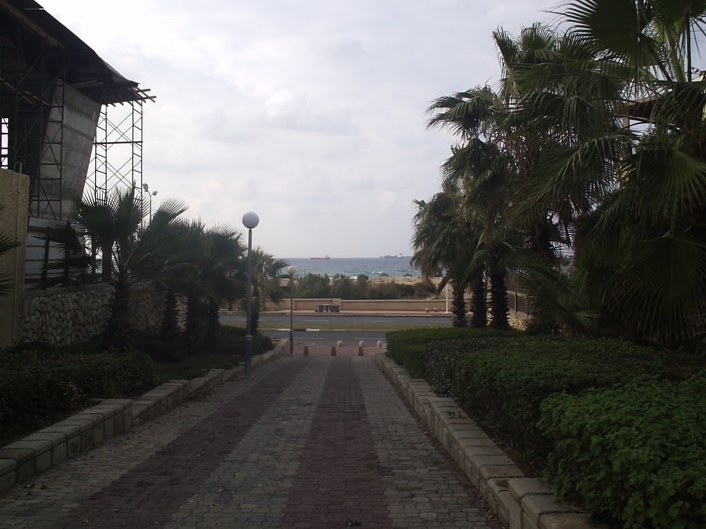 Ashdod 2011