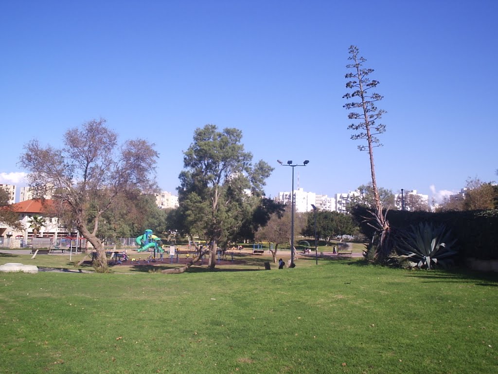 Ashdod 2011