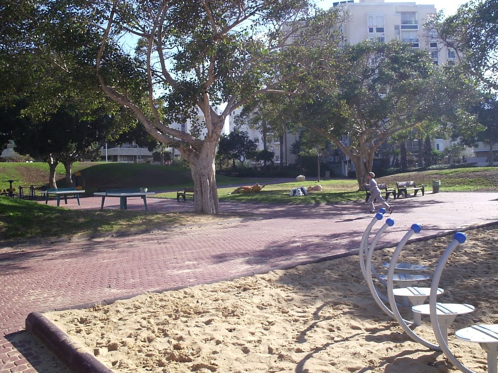 Ashdod 2011