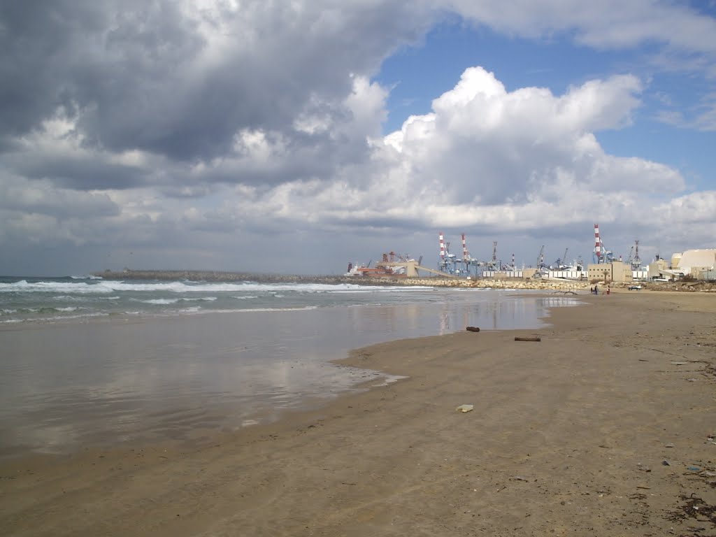 Ashdod 2011