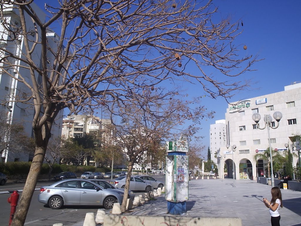 Ashdod Sity 2011
