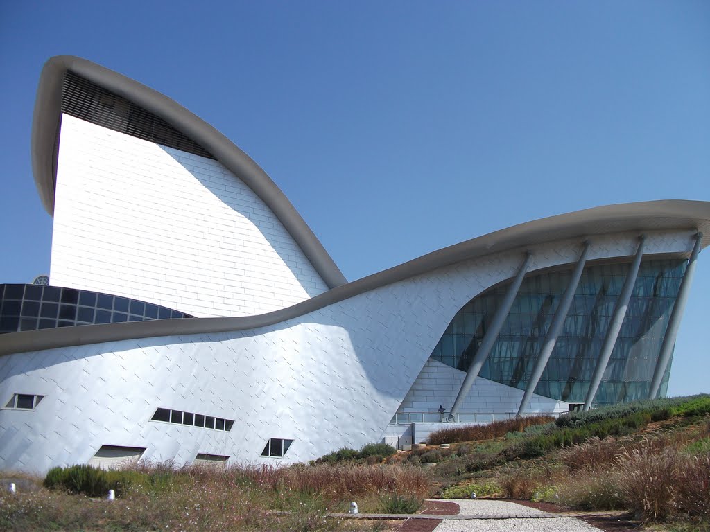 Ashdod  Fall אשדוד סתיו 2011