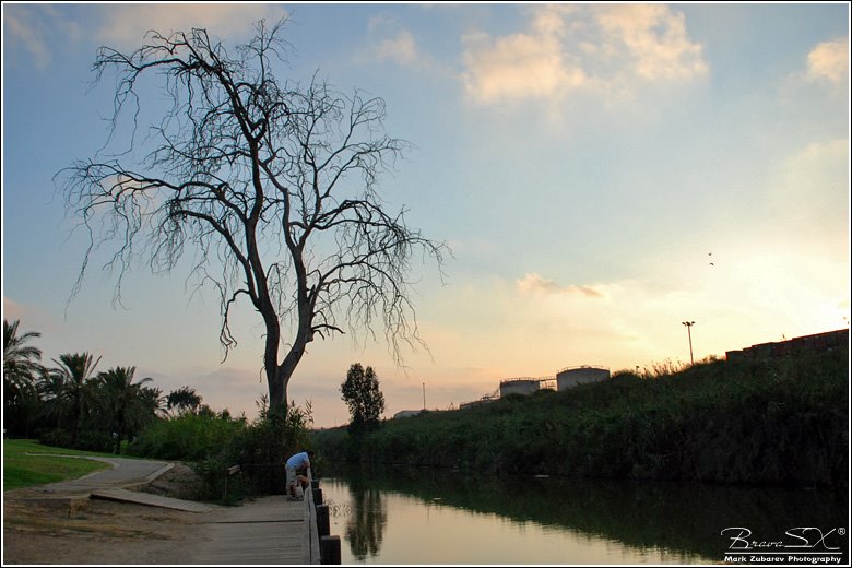Nahal lahish