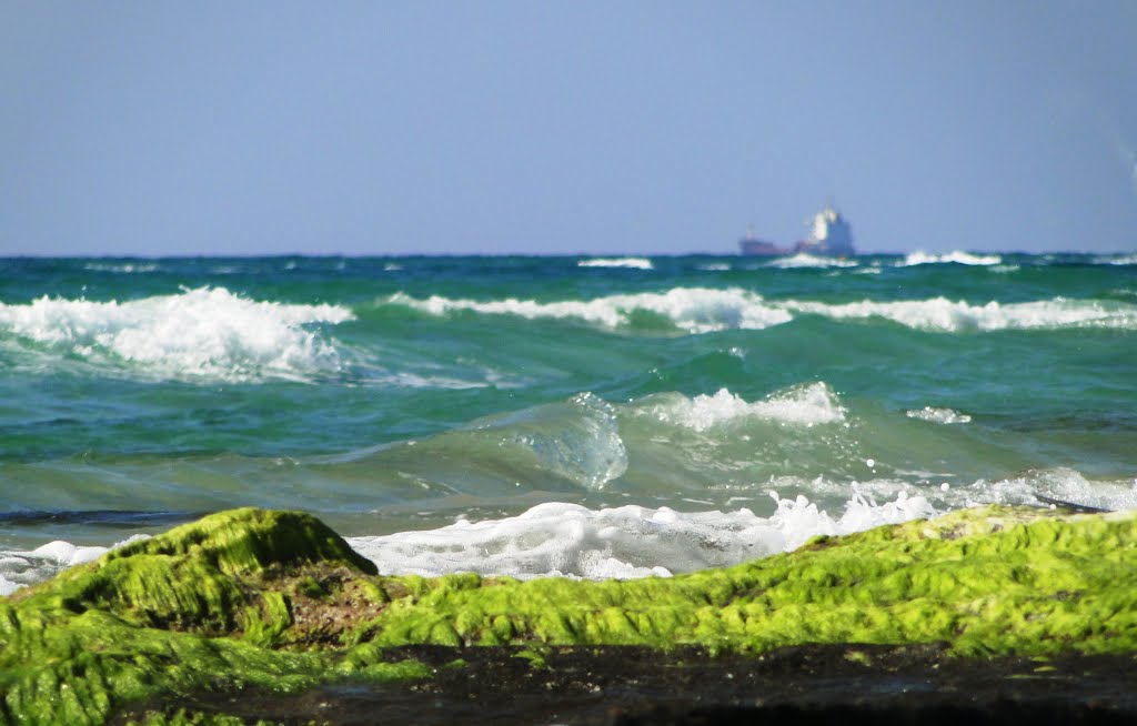 ASHDOD ON THE BEACH
