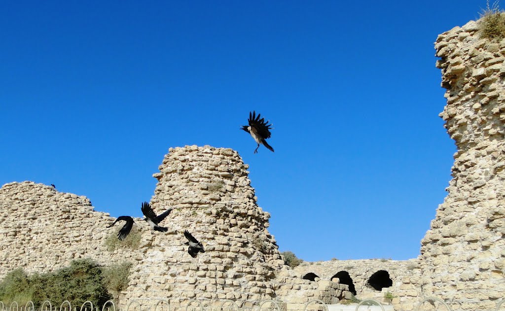 CASTLE ON THE BEACH