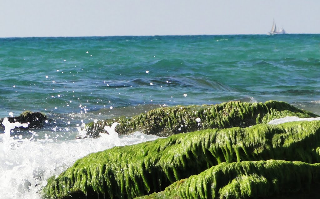 GREEN CLIFF