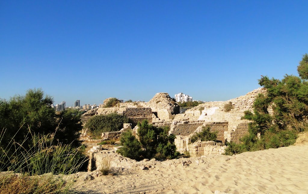 THE CASTLE HASHDOD