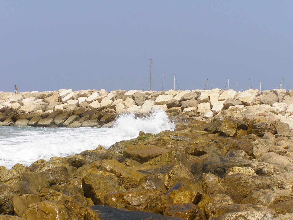 Waves